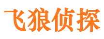 隆子市婚外情调查